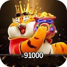 Plataforma 91000